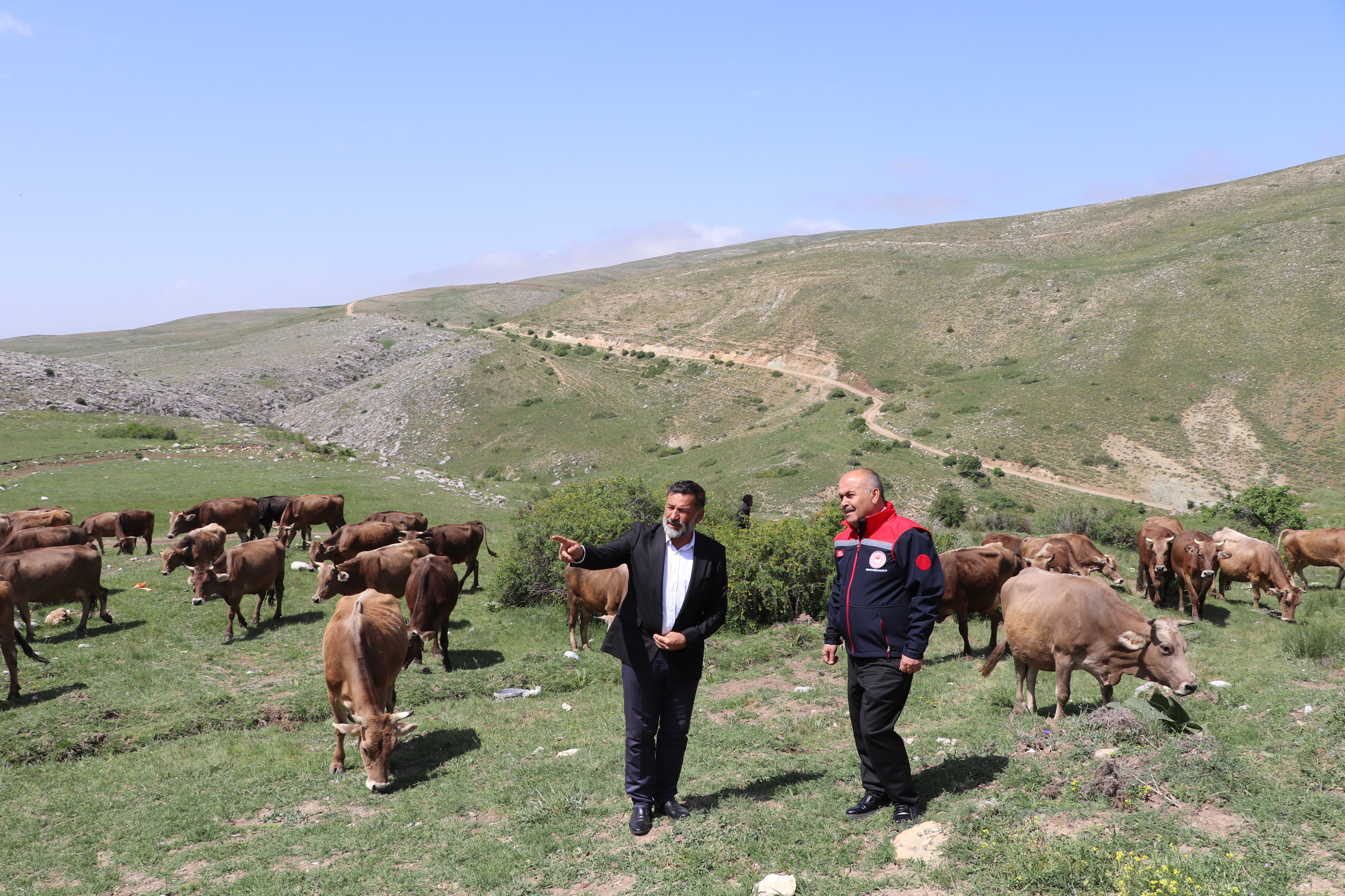 Kangal İlçesi Deliktaş Köyünde Mera Islahı Projesi Hayata Geçti Kangal İlçesi Deliktaş Köyünde Mera Islahı Projesi Hayata Geçti