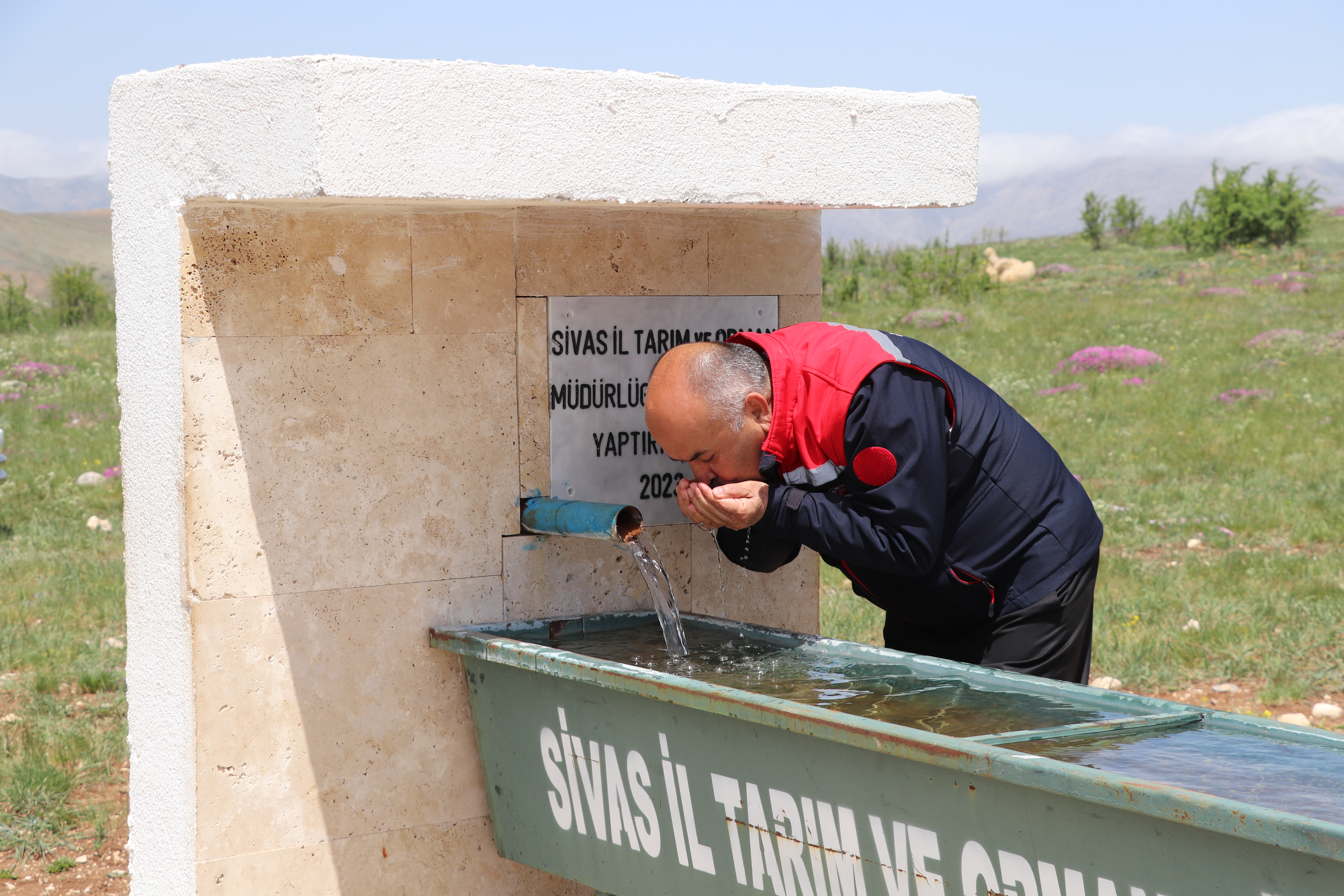 Kangal İlçesi Deliktaş Köyünde Mera Islahı Projesi Hayata Geçti Kangal İlçesi Deliktaş Köyünde Mera Islahı Projesi Hayata Geçti