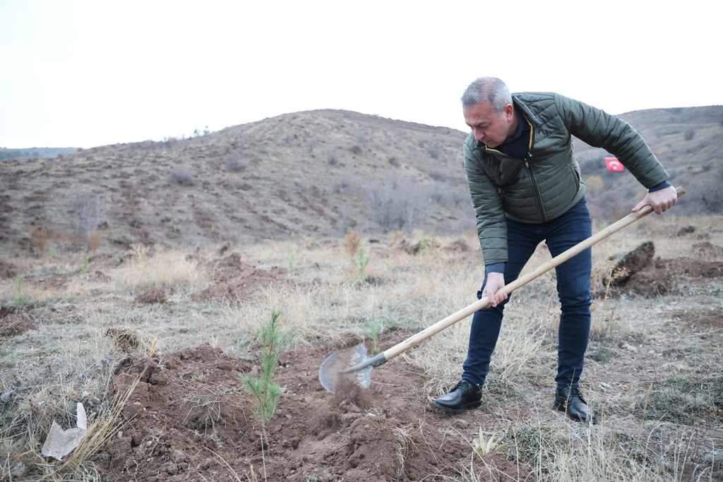 58 BİN FİDAN MUHSİN YAZICIOĞLU VEFA ORMANI’NDA TOPRAKLA BULUŞTU 58 BİN FİDAN MUHSİN YAZICIOĞLU VEFA ORMANI’NDA TOPRAKLA BULUŞTU