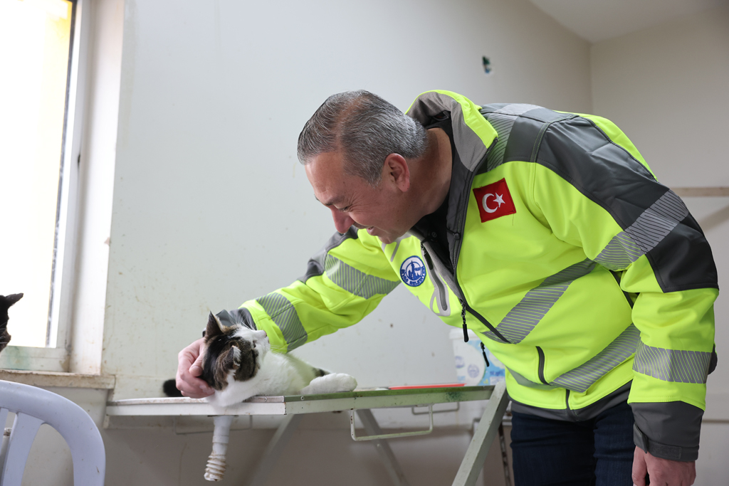 SOKAK HAYVANLARI İÇİN MODERN, SAĞLIKLI VE DOĞAL YAŞAM PROJESİ BAŞLADI SOKAK HAYVANLARI İÇİN MODERN, SAĞLIKLI VE DOĞAL YAŞAM PROJESİ BAŞLADI