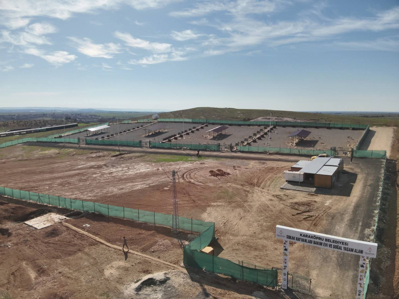 Vali Şıldak; Şanlıurfa’da Sahipsiz Hayvanların Toplanması Çalışmasında Hedefimize Ulaştık