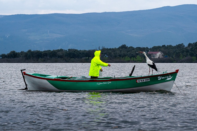 Yaren leylek göl manzaralı yuvasının bulunduğu Bursa'ya 15'inci yılında da geldi