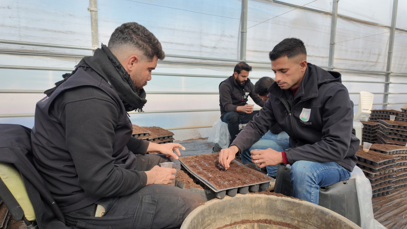 ŞANLIURFA BÜYÜKŞEHİR BELEDİYESİ 1 MİLYON FİDE ÜRETİYOR