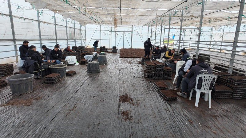 ŞANLIURFA BÜYÜKŞEHİR BELEDİYESİ 1 MİLYON FİDE ÜRETİYOR