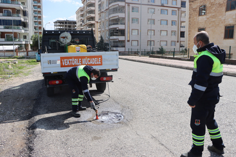 BÜYÜKŞEHİR’DEN SİVRİSİNEK VE HAŞERELERE KARŞI YOĞUN MESAİ