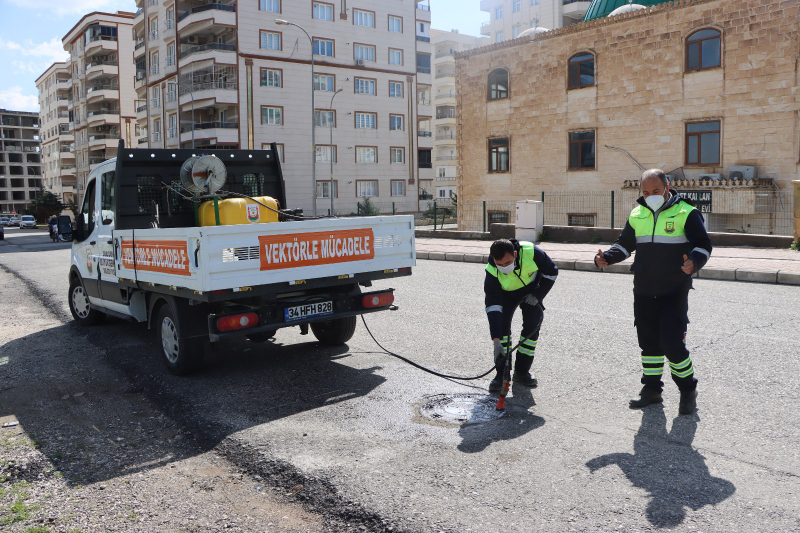 BÜYÜKŞEHİR’DEN SİVRİSİNEK VE HAŞERELERE KARŞI YOĞUN MESAİ