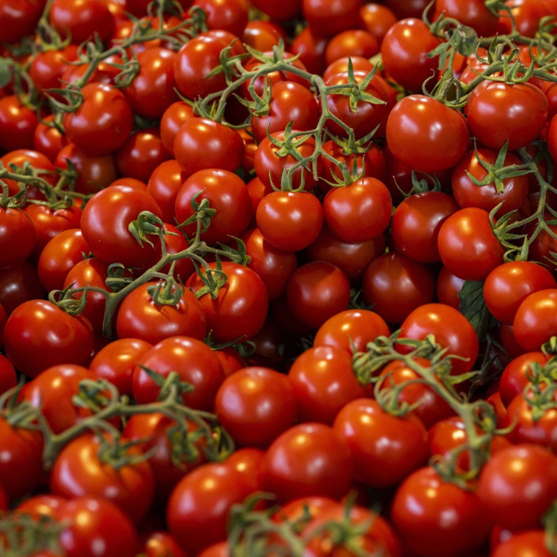 Tarlada 50 TL, rafta 250 TL: Bakanlık zincir market için işlem başlattı