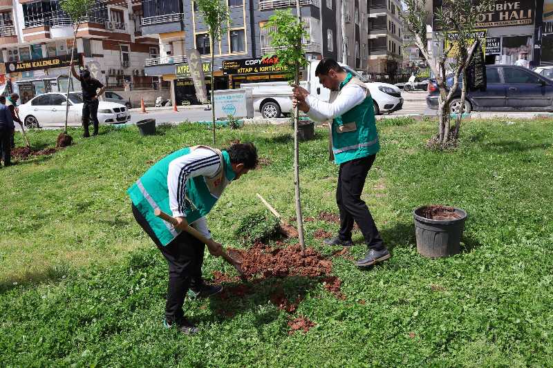 HALİLİYE BELEDİYESİ’NDEN PARK VE YEŞİL ALANLARDA BAKIM SEFERBERLİĞİ