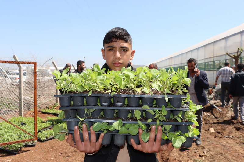 BÜYÜKŞEHİR, 1 MİLYON FİDE DAĞITARAK ÜRETİCİYİ DESTEKLEDİ
