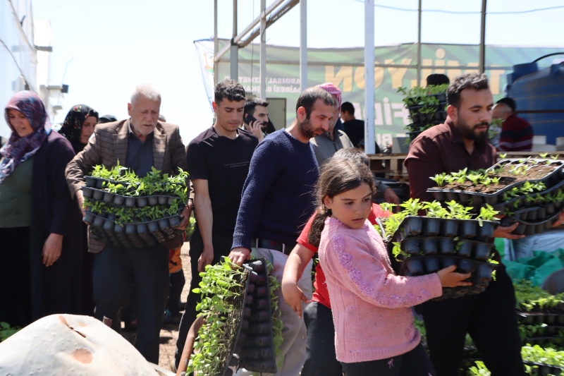BÜYÜKŞEHİR, 1 MİLYON FİDE DAĞITARAK ÜRETİCİYİ DESTEKLEDİ