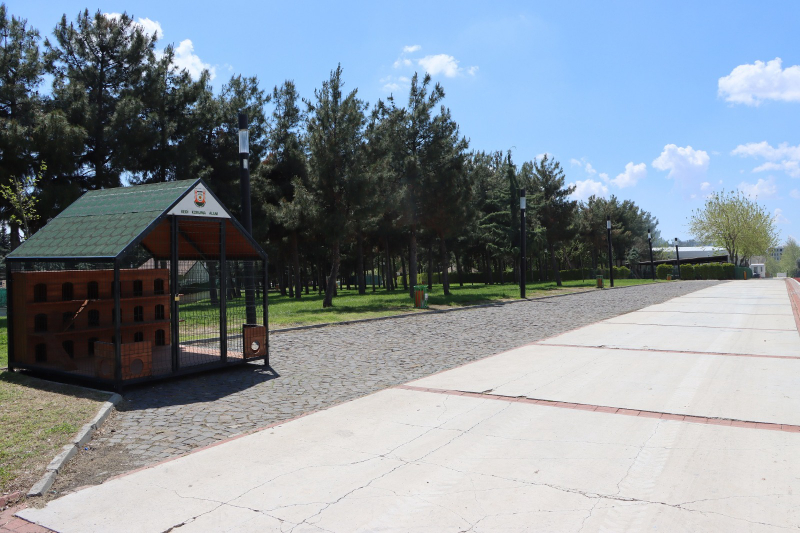 BÜYÜKŞEHİR BELEDİYESİ’NDEN SOKAK KEDİLERİ İÇİN ÖRNEK PROJE