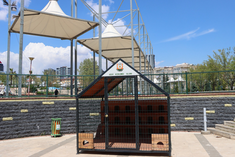 BÜYÜKŞEHİR BELEDİYESİ’NDEN SOKAK KEDİLERİ İÇİN ÖRNEK PROJE