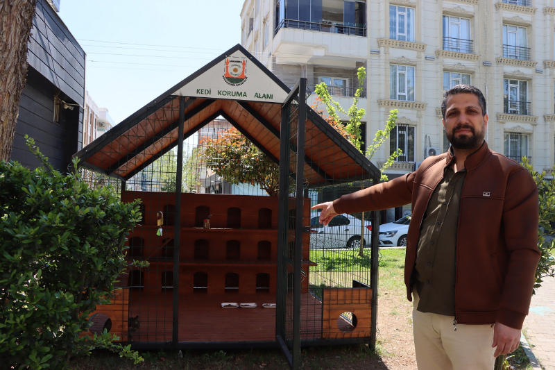 BÜYÜKŞEHİR BELEDİYESİ’NDEN SOKAK KEDİLERİ İÇİN ÖRNEK PROJE