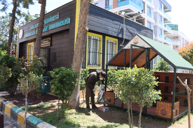 BÜYÜKŞEHİR BELEDİYESİ’NDEN SOKAK KEDİLERİ İÇİN ÖRNEK PROJE