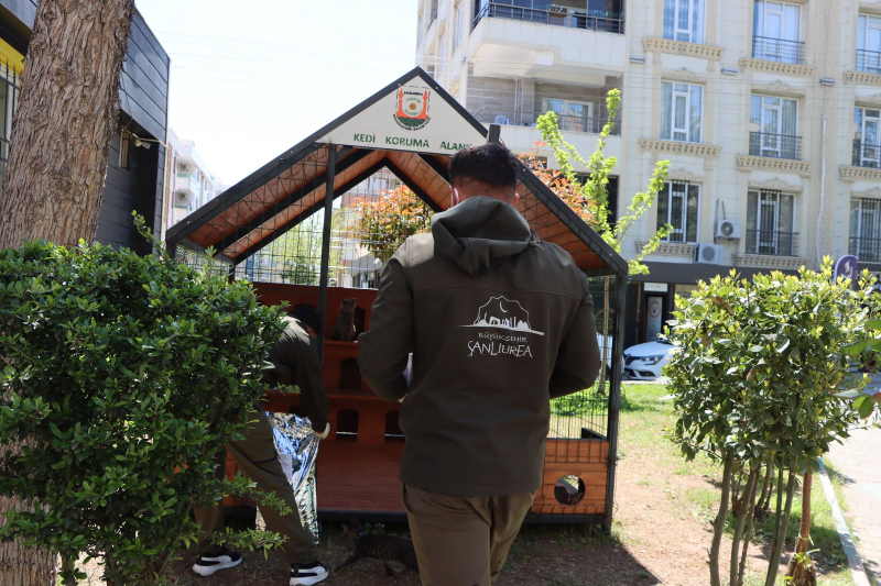 BÜYÜKŞEHİR BELEDİYESİ’NDEN SOKAK KEDİLERİ İÇİN ÖRNEK PROJE