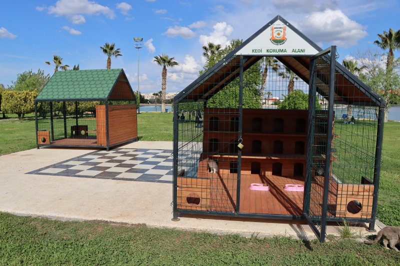 BÜYÜKŞEHİR BELEDİYESİ’NDEN SOKAK KEDİLERİ İÇİN ÖRNEK PROJE