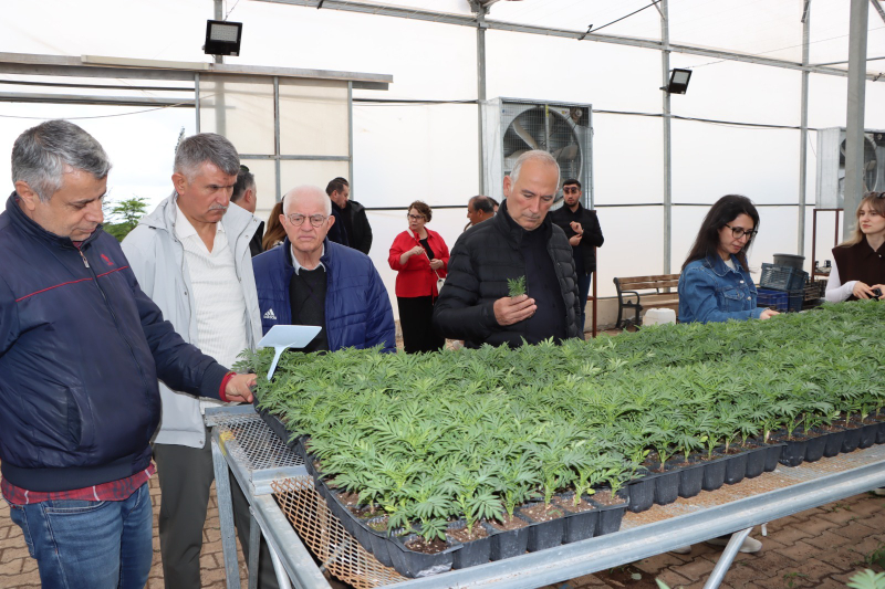 TBB HEYETİ, ŞANLIURFA BÜYÜKŞEHİR BELEDİYESİ’NİN TARIMSAL ÜRETİMİNİ İNCELEDİ