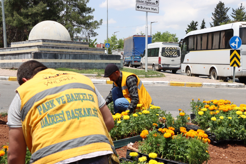 BÜYÜKŞEHİR KENDİ SERASINDA ÜRETTİ, ŞEHRİN DÖRT BİR YANINI ÇİÇEKLERLE DONATTI