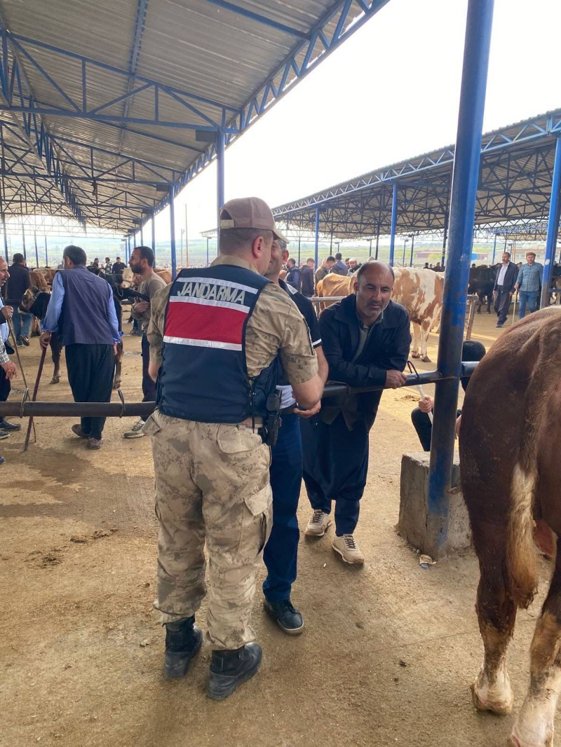 Şanlıurfa'da Jandarmadan Hayvan Pazarlarında "Huzur ve Güven" Mesaisi Şanlıurfa'da Jandarmadan Hayvan Pazarlarında "Huzur ve Güven" Mesaisi