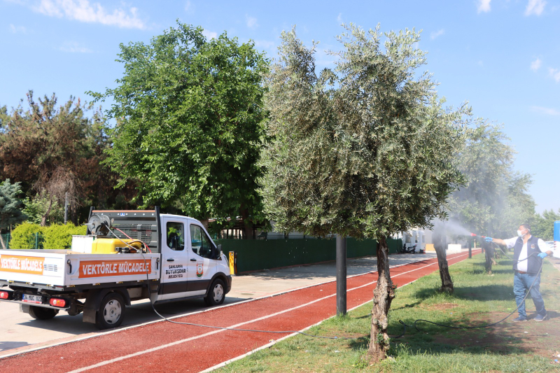 ŞANLIURFA BÜYÜKŞEHİR BELEDİYESİ’NDEN HAŞERELERE KARŞI YOĞUN MÜCADELE