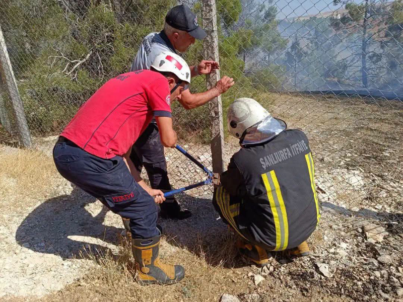 Bozova Çatak’ta Korkutan Yangın: Ekipler Zamanında Müdahale Etti!