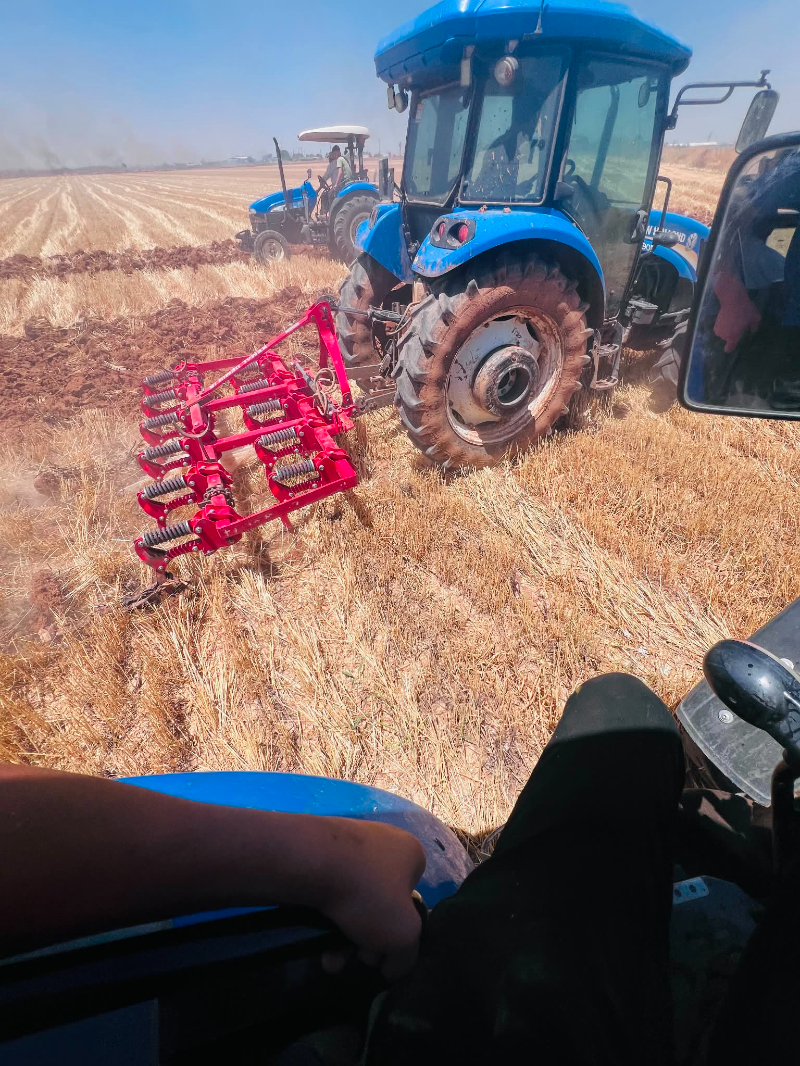 Harran’da Korkutan Anız Yangını: 500 Dönümlük Alan Kül Oldu!