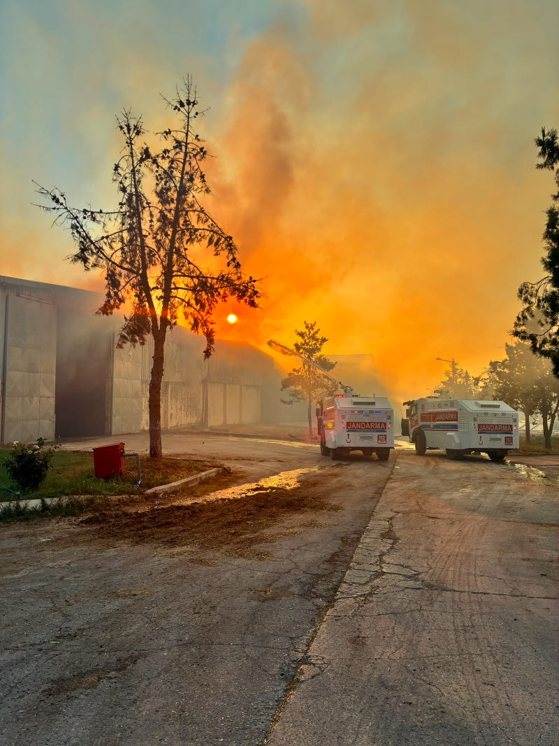 Haliliye'de İşyeri Yangını: Jandarma Ekipleri Alevlere Zamanında Müdahale Etti Haliliye'de İşyeri Yangını: Jandarma Ekipleri Alevlere Zamanında Müdahale Etti