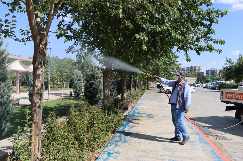 ŞANLIURFA'DA İLAÇLAMA SEFERBERLİĞİ EKİPLER GECE GÜNDÜZ SAHADA