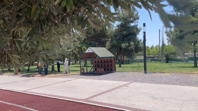 ŞANLIURFA’NIN 11 FARKLI NOKTASINA 12 KEDİ EVİ KURULDU