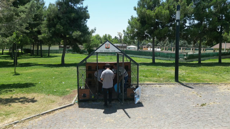 ŞANLIURFA’NIN 11 FARKLI NOKTASINA 12 KEDİ EVİ KURULDU