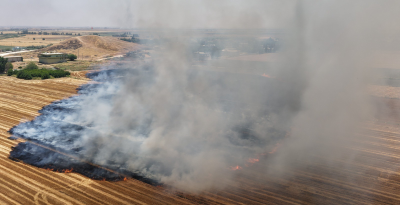 ŞANLIURFA'DA ANIZA DOĞRUDAN EKİM ÇALIŞMALARI BÜYÜYOR ŞANLIURFA'DA ANIZA DOĞRUDAN EKİM ÇALIŞMALARI BÜYÜYOR