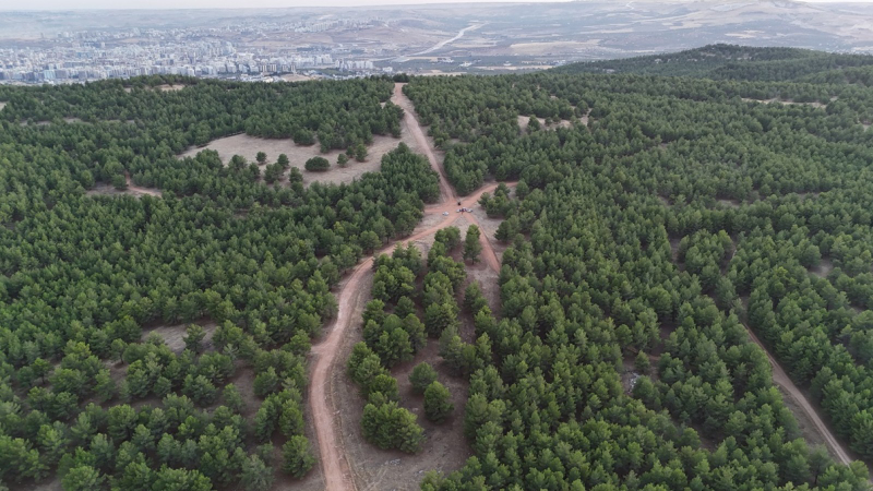 BAŞKAN GÜLPINAR'DAN ŞANLIURFA'YA DEV TABİAT PARKI İÇİN ORTAK HAMLE