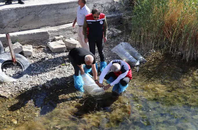 Göl ve Göletlerde Balıklandırma Çalışmaları Devam Ediyor