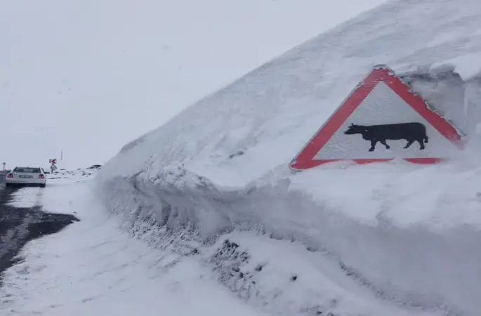 ARDAHAN’DA KAR TABAKASI TABELALARI AŞTI