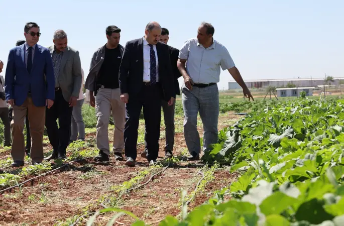 BAŞKAN GÜLPINAR’DAN DÜNYA ÇİFTÇİLER GÜNÜ MESAJI
