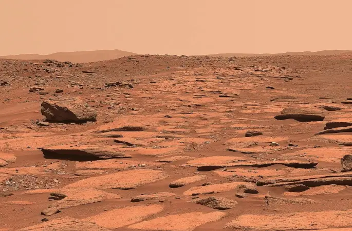 Bilim dünyasında heyecan yaratan yeni bir keşif açıklandı.