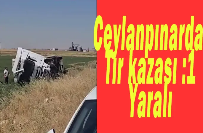 Ceylanpınar-Kızıltepe Yolunda Tır Devrildi: 1 Yaralı