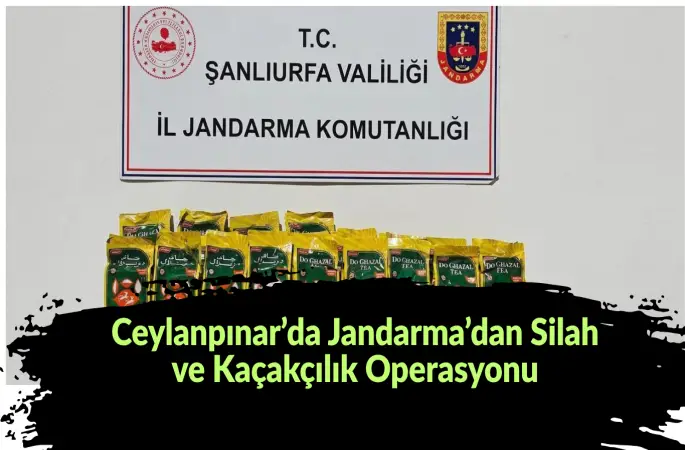Ceylanpınar’da Jandarma’dan Silah ve Kaçakçılık Operasyonu