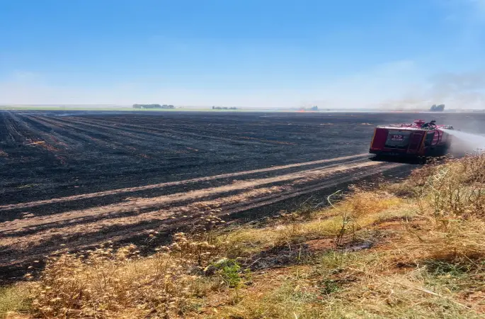 Harran’da Korkutan Anız Yangını: 500 Dönümlük Alan Kül Oldu!