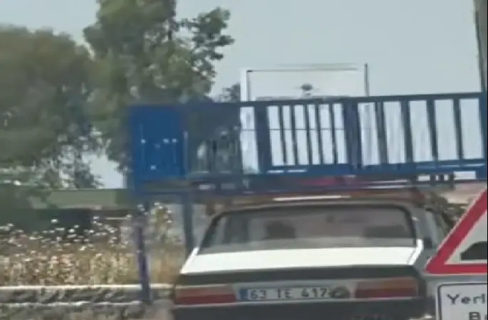 HARRAN’DA ŞAŞIRTAN GÖRÜNTÜ: TOROS’UN ÜZERİNDE TAHT TAŞIDILAR!