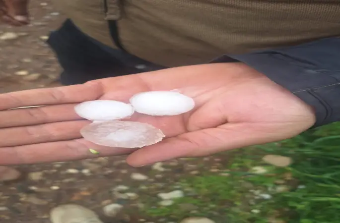 Hatay Reyhanlı’da Dolu Kabusu: Tarım Arazileri Yerle Bir Oldu