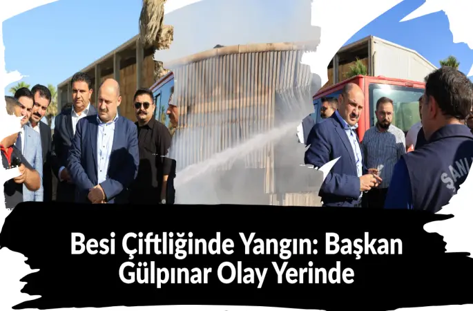 Şanlıurfa’da Besi Çiftliğinde Korkutan Yangın: Başkan Gülpınar İncelemelerde Bulundu