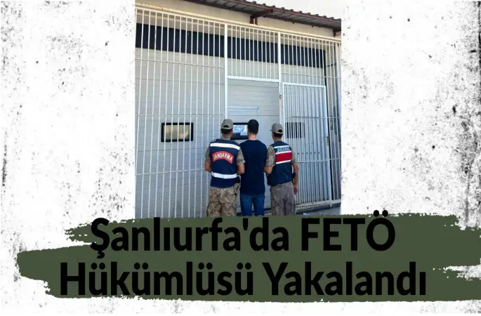 Şanlıurfa'da FETÖ Hükümlüsü Yakalandı