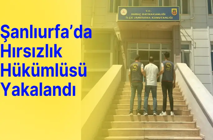 Şanlıurfa’da Hırsızlık Hükümlüsü Yakalandı