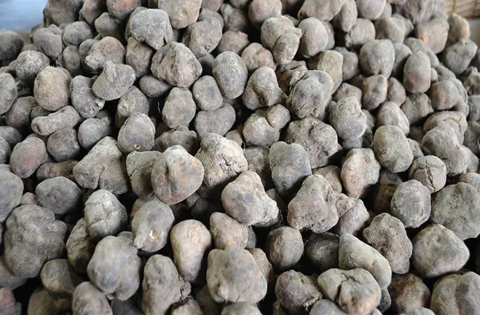 Şanlıurfa’da Keme Sezonu Başladı