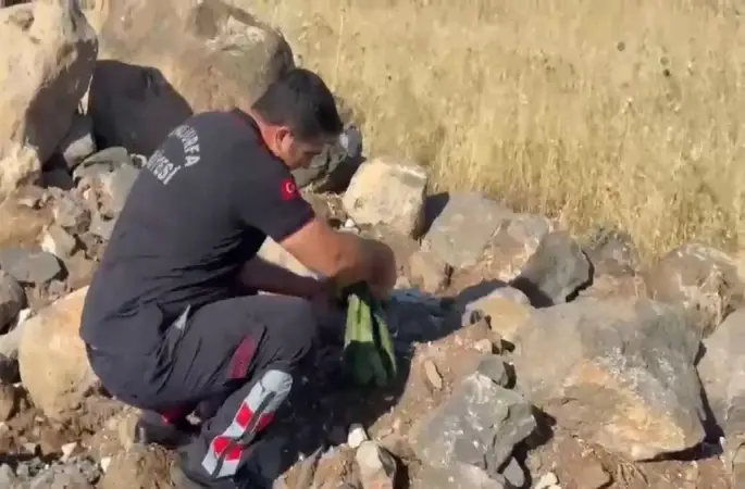 ŞANLIURFA’DA MESİRE ALANINDA KORKU DOLU ANLAR: BEBEK ARABASINA YILAN GİRDİ!