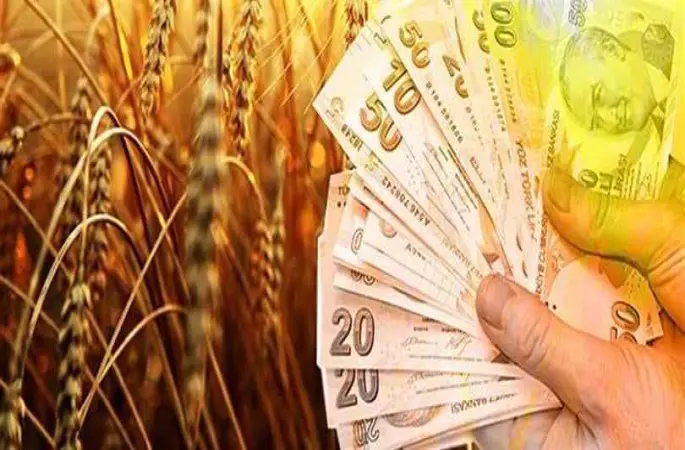 TMO’dan Şanlıurfalı Hububat Üreticisine Büyük Destek: Yaklaşık 15 Milyar TL Hesaplara Aktarıldı