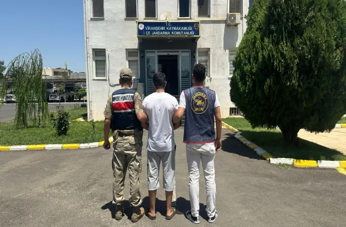 Viranşehir’de Yağma Suçundan Aranan Şahsa Jandarma Darbesi: 10 Yıl Cezası Vardı