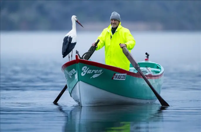 Yaren leylek göl manzaralı yuvasının bulunduğu Bursa'ya 15'inci yılında da geldi