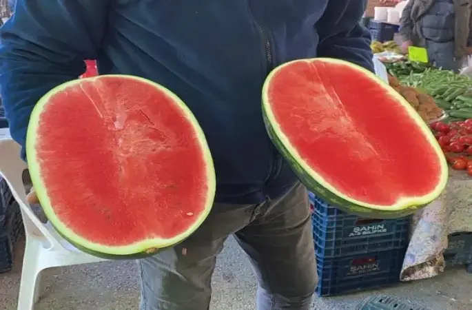 Yılın İlk Karpuzları Tezgâhlarda: Kilosu 50 TL’den Satışta